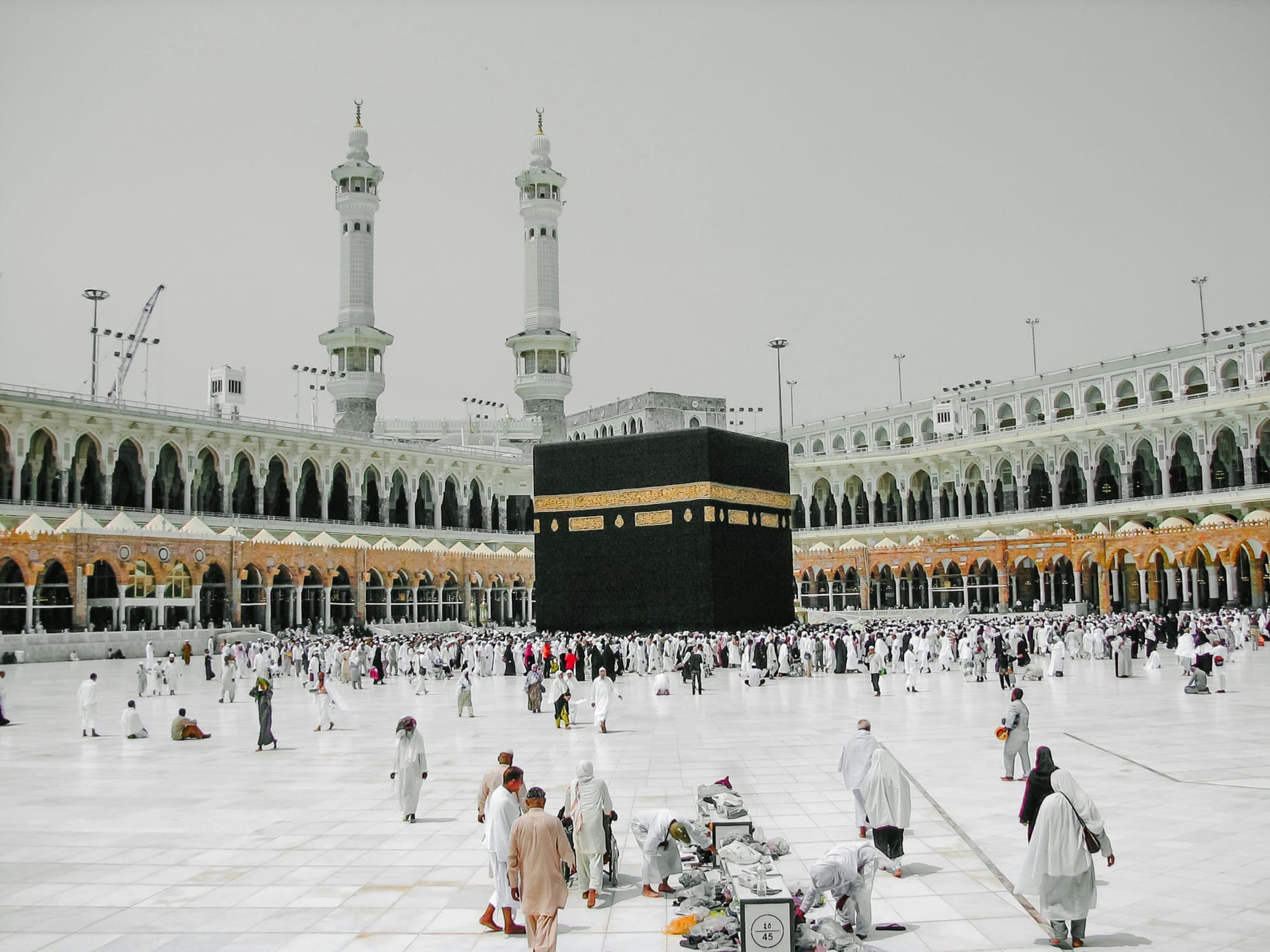 عمرة 2026 — بر الوالدين